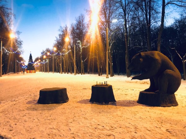 Медведь в лесопарке Рязань