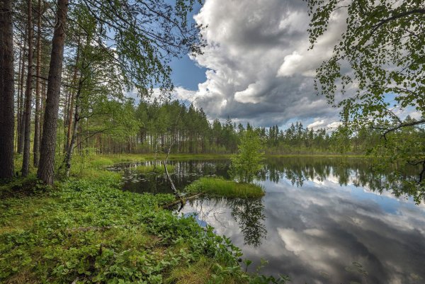 Озеро Лесное Набережные Челны