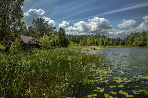 Лесное озеро село поселок