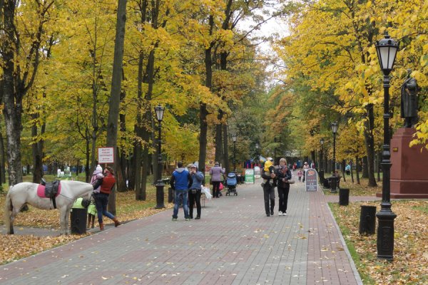 Парк Кио Череповец