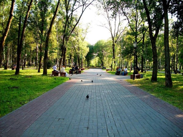 Сквер Комсомольский парк Череповец