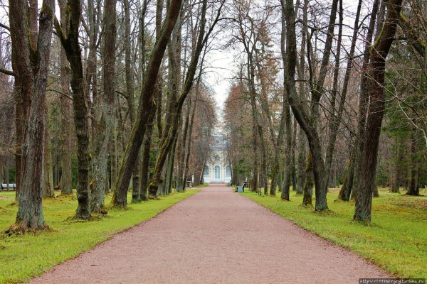 Ломоносовский парк Череповец
