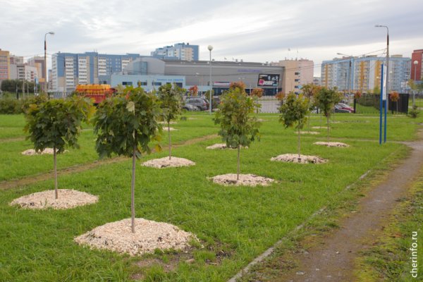 Парк серпантин