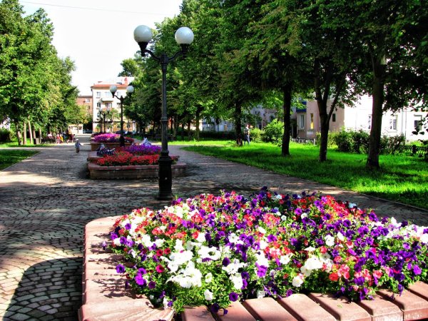 Сквер Верещагина Череповец