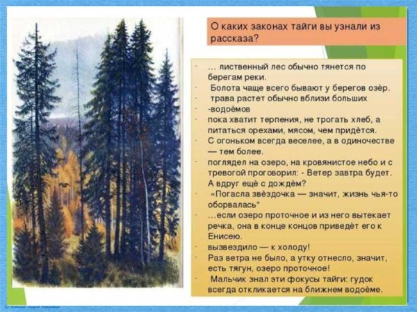 Законы тайги