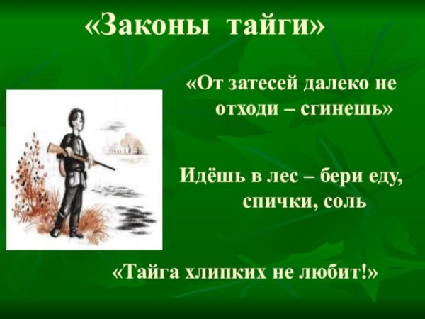 Проект по Васюткину озеру