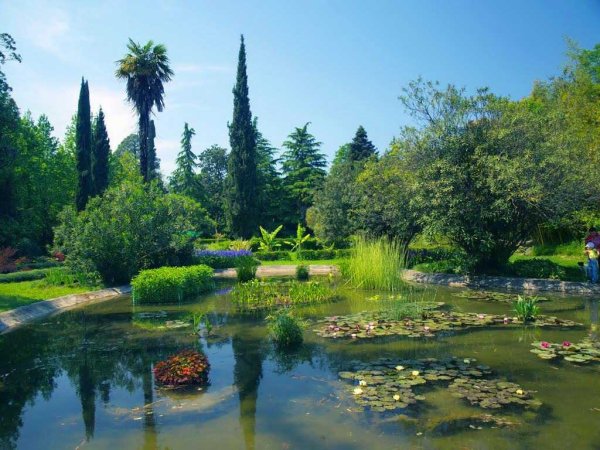 Дендрологический парк Южные культуры Сочи