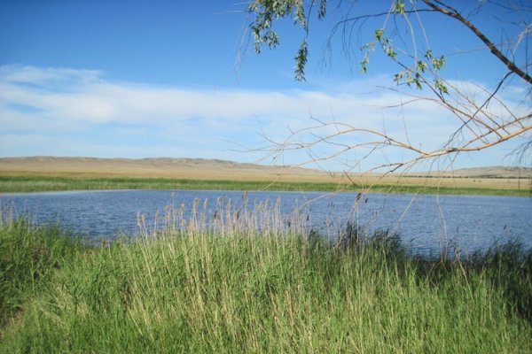 Озеро Косколь Оренбургской области