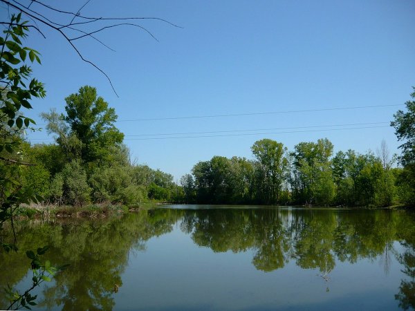 Пруды Оренбург