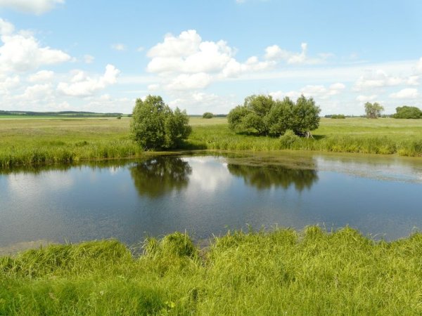 Пруды и озёра Новосергеевского района Оренбургской области