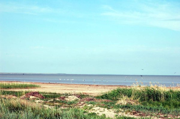 Озеро Жетыколь Оренбургской области