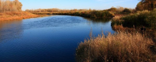 Черное озеро Оренбургская область