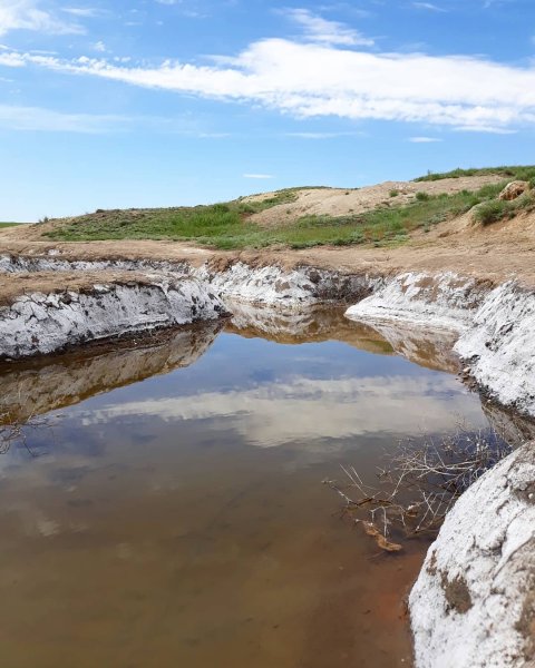 Беляевский район озеро Тузлукколь
