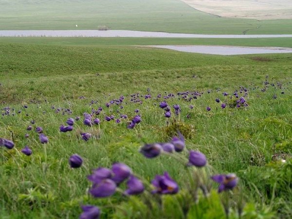 Озеро Косколь Оренбургской области