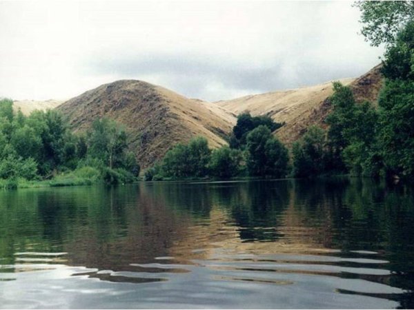 Государственный природный заповедник Оренбургский озера