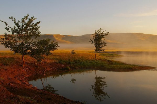 Оренбургский заповедник пейзажи