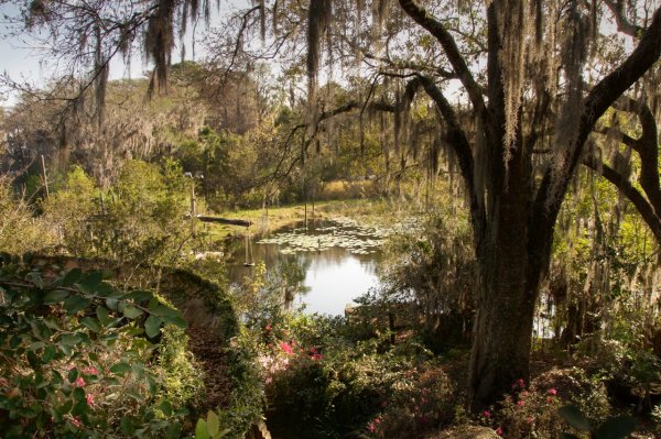 Заброшенный парк Дисней во Флориде