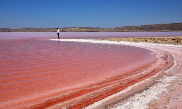 Озеро туз Турция