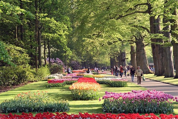 Королевский парк Калининград