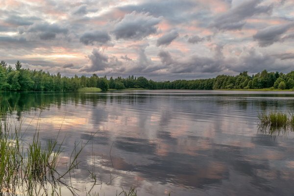 Озеро Велино Псковская область