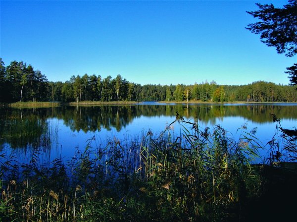 Озеро Островито Пустошкинский район