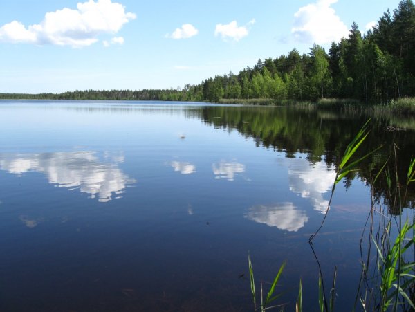 Озеро лунёво Псковская область