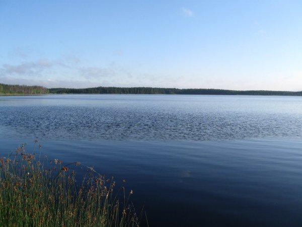 Озеро лунёво Псковская область