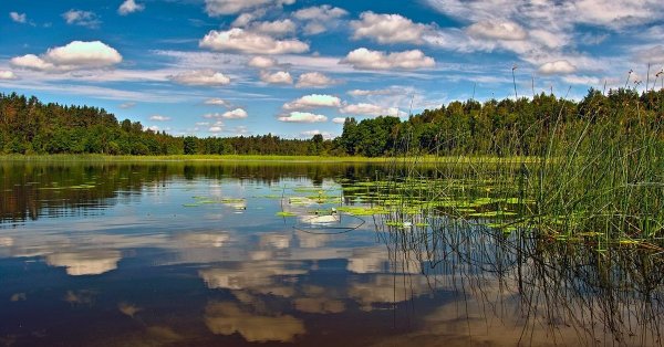 Псковская область озеро ратышня