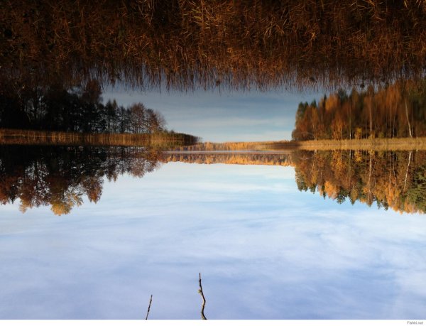 Озеро Оле в Пскове