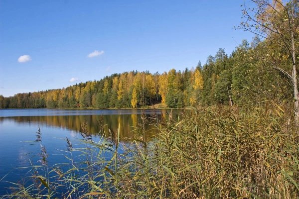 Озеро Велино Гдовский район