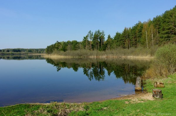 Озеро Рахново Псковская область