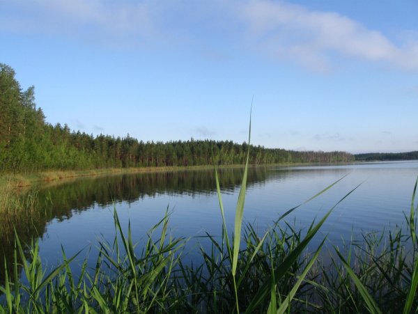Озеро Велино Псковской области