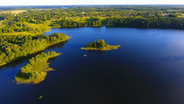 Псковская обл озеро але