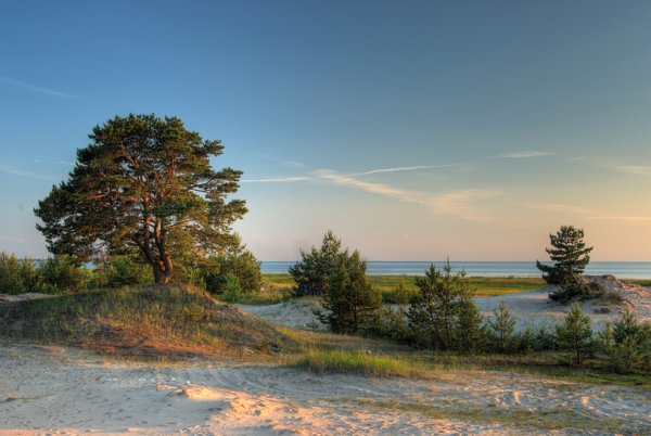 Гдов Чудское озеро