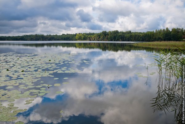 Озеро Осыно Себежский