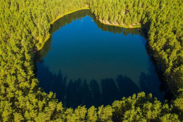 Серебряное озеро Псковская область