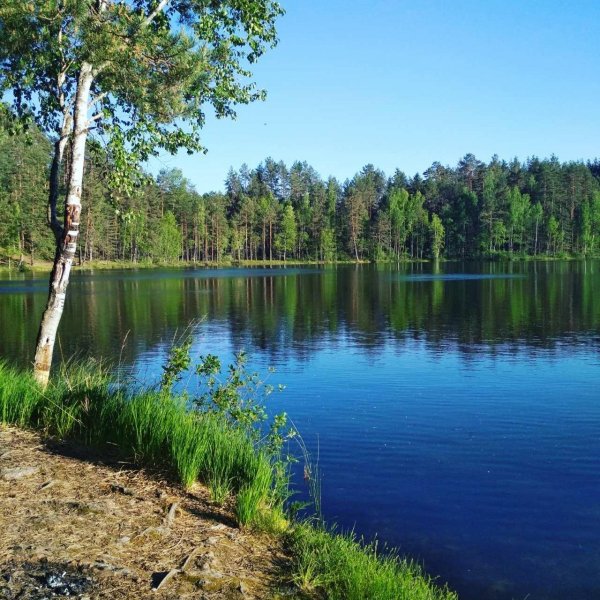 Озеро Зеленец Себежский район