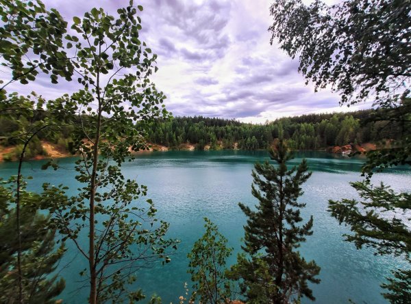 Озеро черное Лужский район