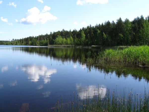 Озеро Ильсто Псковская область