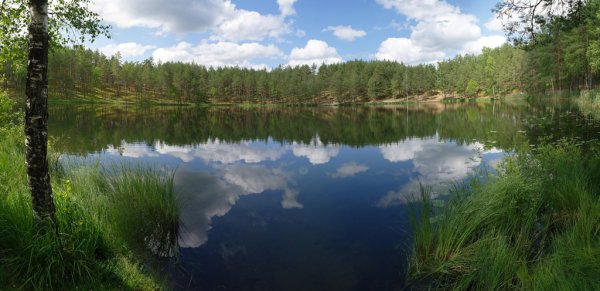 Лесное озеро Псков