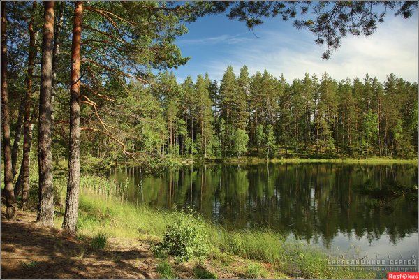 Озеро Зеленец Себежский район