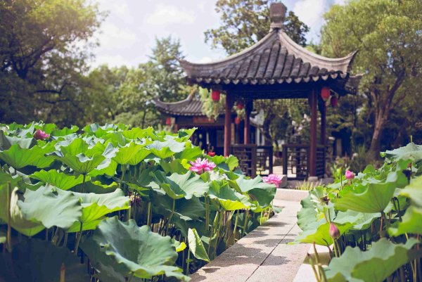 Лотосовый парк Сиань