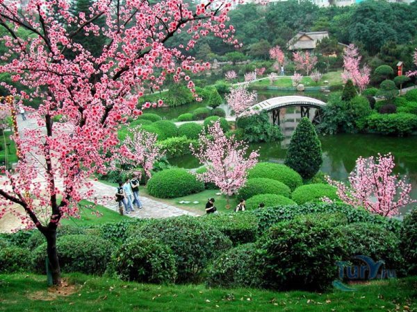 Сады и парки Китая