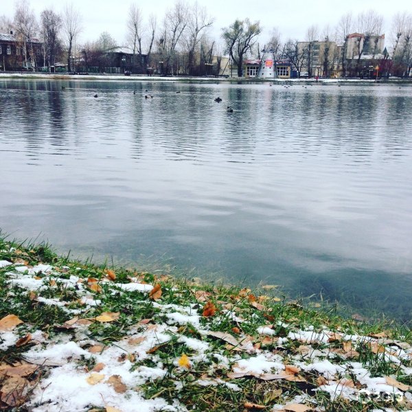Сад белое озеро, Томск