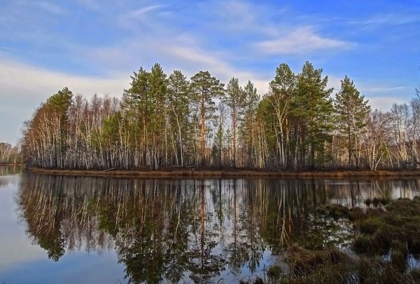 Озеро Лебяжье Томск