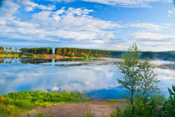 Озеро Лебяжье Шегарский район