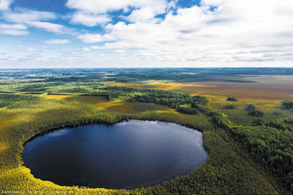 Томск Васюганское болото