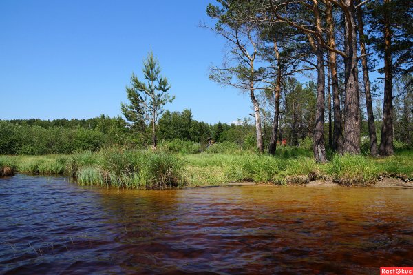 Семиозерки Томская область озеро