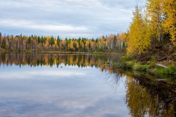 Верхнекетский район Тайга