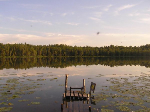 Озеро рожнёвое Томск